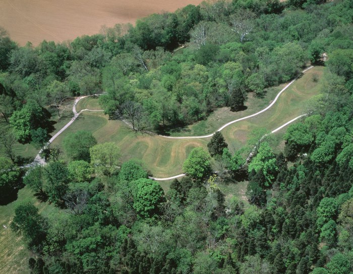 Great serpent mound ap art history