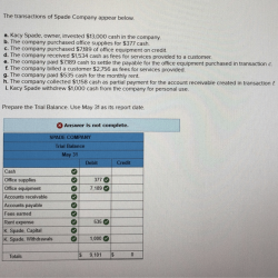 Spade company trial balance may 31