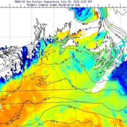 Rutgers sea surface temperature charts