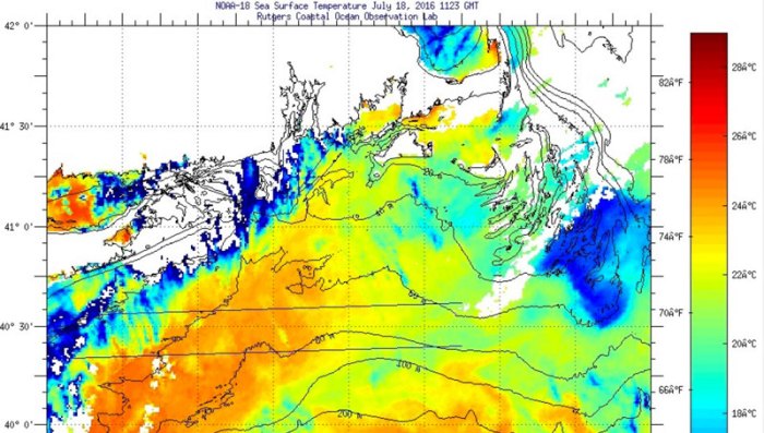 Rutgers sea surface temperature charts