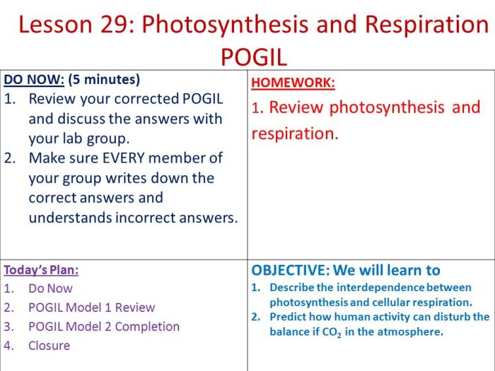 Photosynthesis what's in a leaf pogil