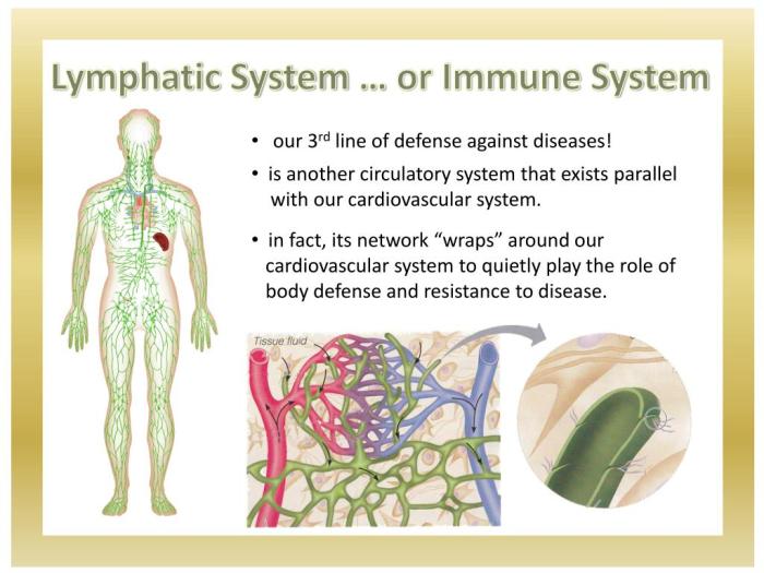 Blood lymphatic and immune systems chapter 9