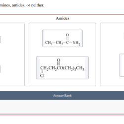 Classify the formulas as amines amides or neither